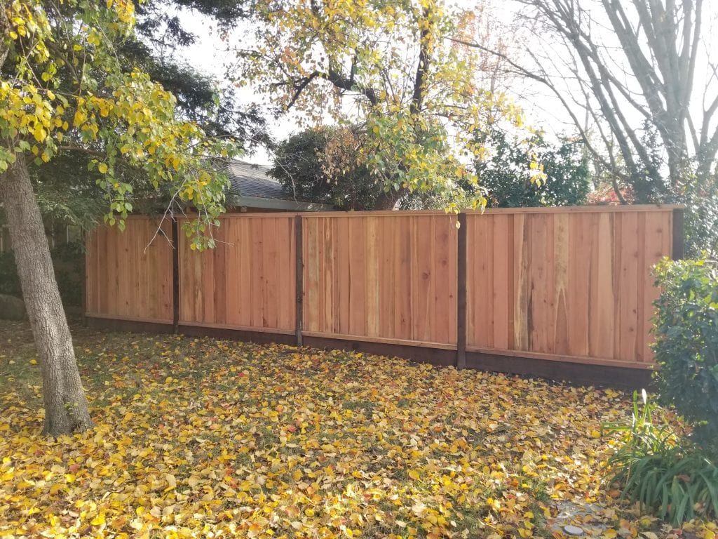 board on board picture frame wood fence in a backyard with fallen leaves